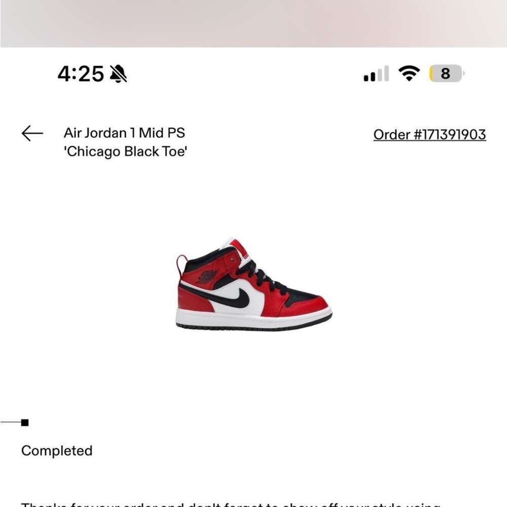 Jordan Kids' Chicago Black Toe Sneakers - Red/Black/White
